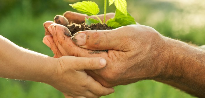 Copertina del progetto Salviamo gli alberi
